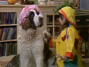 Punky Brewster Dog Dough Afternoon