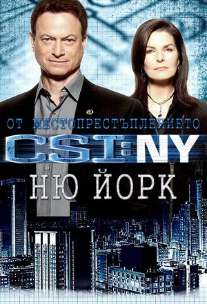 Poster От местопрестъплението: Ню Йорк Сезон 3 2006