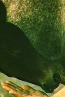 The Story of One Run