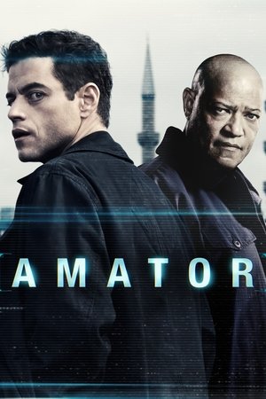 Poster Amator 2025