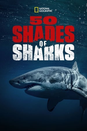 Poster 50 Shades of Sharks (2020)