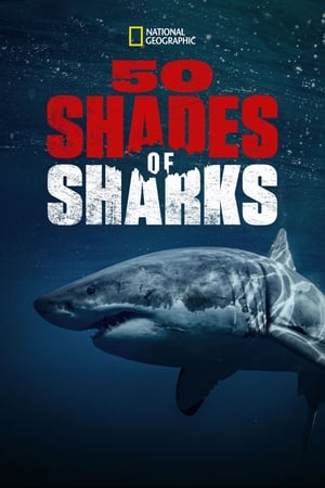 Poster 50 Shades of Sharks 2020