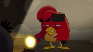 Angry Birds: O vară nebună: Sezonul 1 Episodul 11