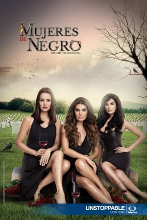 Poster Mujeres de Negro 2016