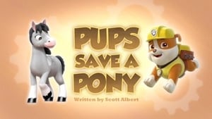 PAW Patrol Pups Save a Pony