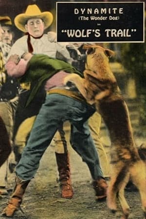 Poster Wolf's Trail (1927)