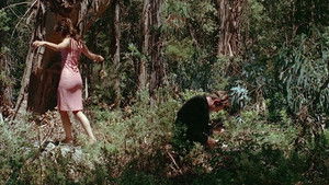 poster Pierrot le Fou