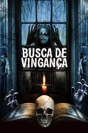 Assistir Busca de Vingança Online Grátis