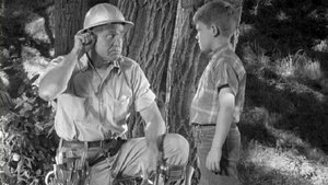 The Andy Griffith Show Mr. McBeevee