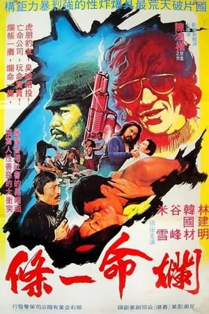 Poster Lan ming yi tiao 1980