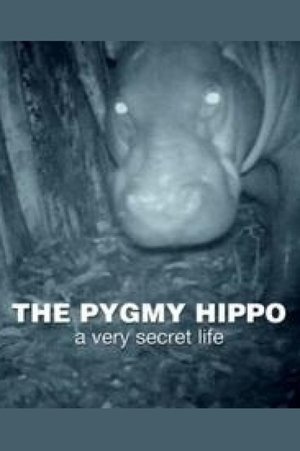 Poster The Pygmy Hippo: A Very Secret Life (2014)