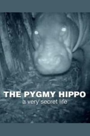 Poster The Pygmy Hippo: A Very Secret Life 2014