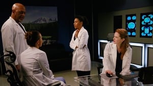 Grey’s Anatomy 11 x Episodio 20