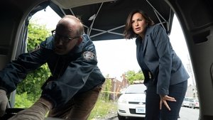 Law & Order – Unità vittime speciali: Stagione 17 x Episodio 2