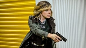 Chicago P.D. Temporada 3 Capitulo 8