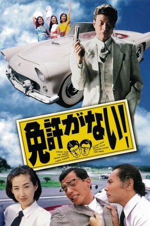 Poster Menkyo ga nai! (1994)