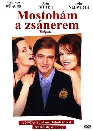 Poster Mostohám a zsánerem 2002