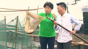 Episode 1 | StreamHub