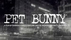 Pet Bunny