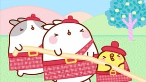 Molang: 4×7