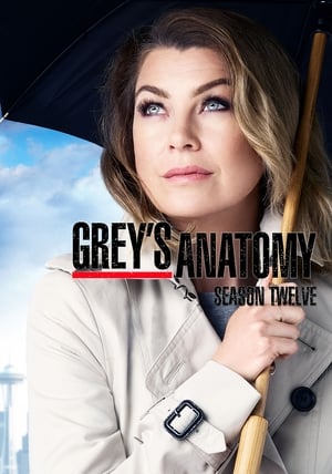 Anatomia lui Grey: Sezonul 12