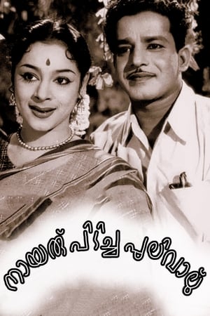 Poster നായരു പിടിച്ച പുലിവാല് 1958