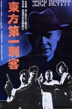 Poster 东方第一刺客 (1993)
