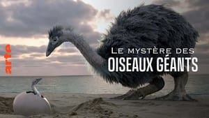 Le mystère des oiseaux géants