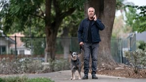 Bosch: Legacy: 1×9