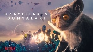 Images posters