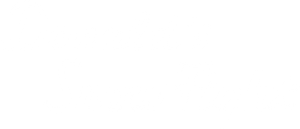 Donald's Snow Fight