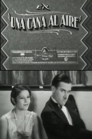 Poster A gray in the air (1930)