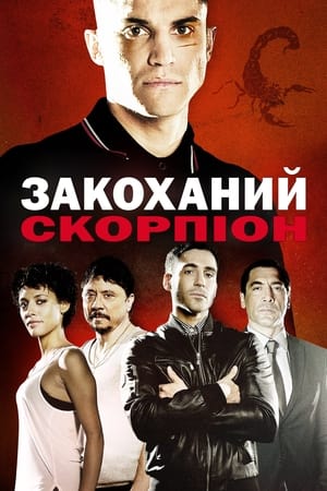 Poster Закоханий скорпіон 2013