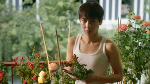 series image