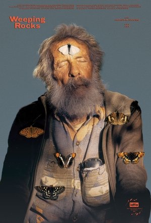 Weeping Rocks (2025)