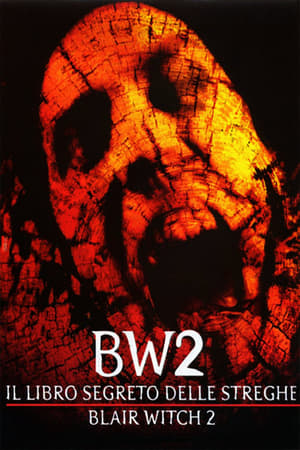 Poster di Il libro segreto delle streghe - Blair Witch 2