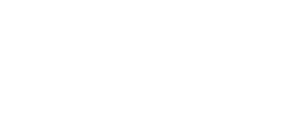 Mi bella genio — Logos 6