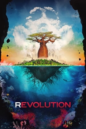 Poster Революция 2012