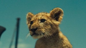 King: Mój przyjaciel lew cały film