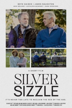 Poster SilverSizzle 2024