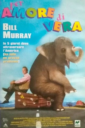 Poster Per amore di Vera 1996