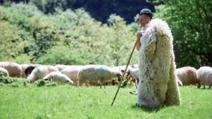 Vivre avec les ours des Carpates