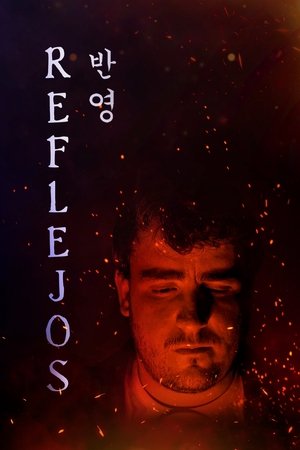 Image Reflejos (반영)