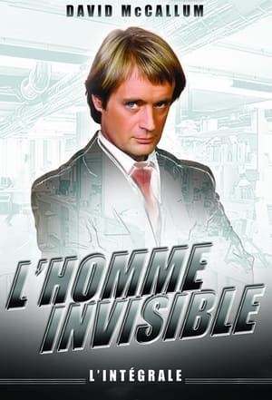 Poster L'Homme invisible 1975