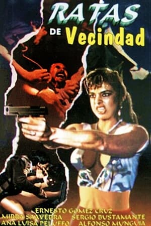 Poster Ratas de vecindad 1988