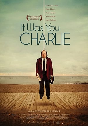 Poster It Was You Charlie (2013)