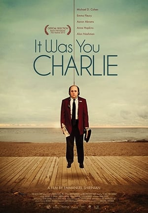 Poster It Was You Charlie 2013