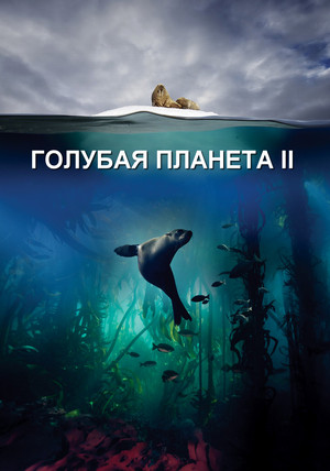 Blue Planet II 48
