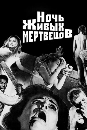 Image Ночь живых мертвецов