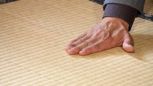 Japanology Plus: 8×22